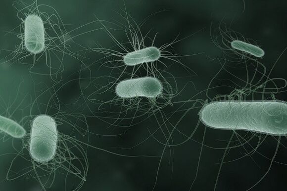mikroorganizmai, sukeliantys patologines išskyras